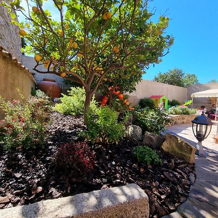 ساردارا B&B Villa Martina المظهر الخارجي الصورة
