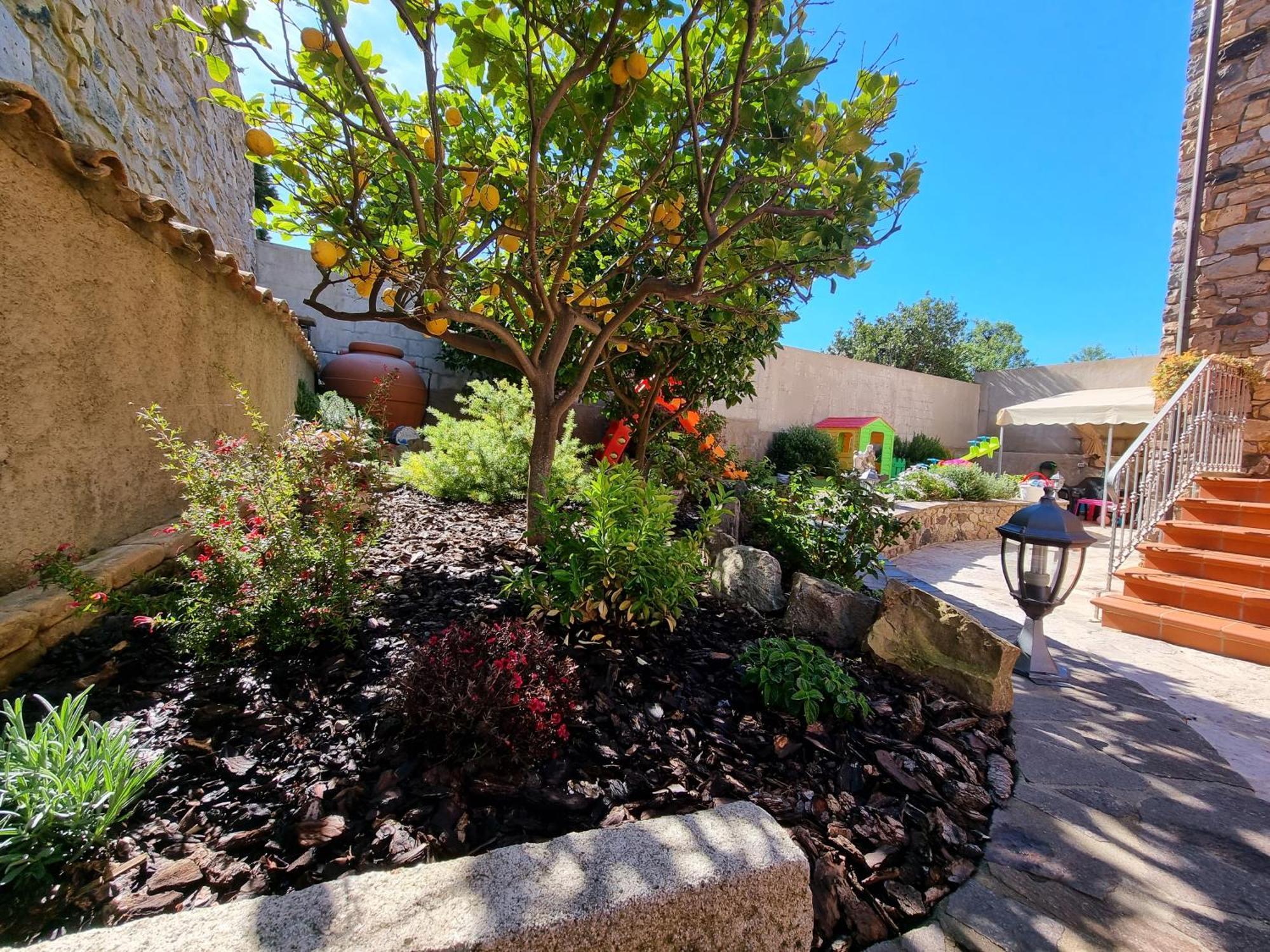 ساردارا B&B Villa Martina المظهر الخارجي الصورة